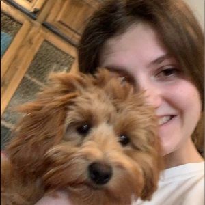 Meet your Posher, Bella